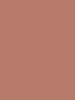 #b57a6a color image