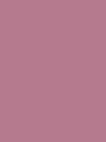 #b57a8d color image