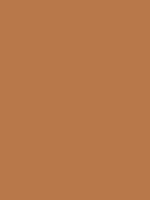 #b87a4a color image