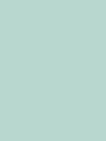 #b8d7ce color image