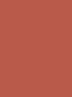 #b95a4a color image