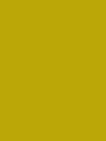 #bba707 color image