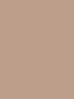 #bc9e8a color image