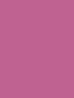 #bf6292 color image