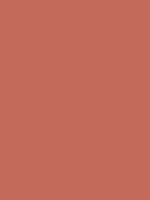 #c36a5a color image