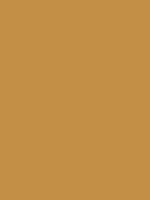 #c38e46 color image