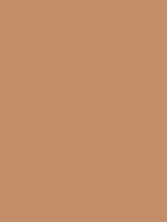 #c38e69 color image