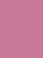 #c87799 color image