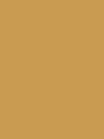 #c99b51 color image