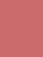 #cc6c6a color image