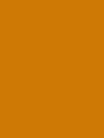 #ce7805 color image
