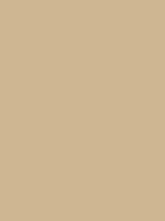 #ceb692 color image