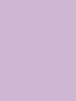 #cfb6d1 color image