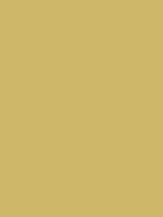 #cfb76a color image