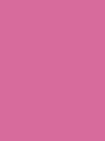 #d56b9a color image