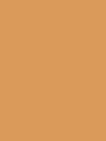 #da9a5a color image