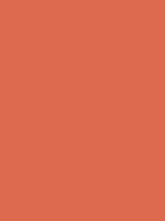 #dd6a4f color image