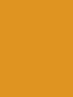 #de9320 color image