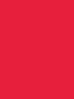 #e51f3a color image