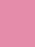 #e58caa color image