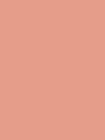 #e59d8a color image