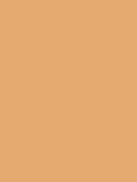 Fawn / #e5aa70 hex color