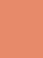 #e78a6a color image