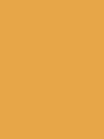 #e7a64a color image