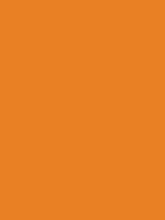 #e98123 color image