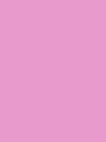 #e99acc color image