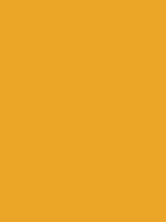 #eba326 color image