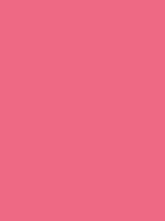 #ee6984 color image