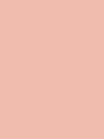 #efbcae color image