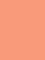 #f99a7a color image