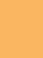 #fab660 color image