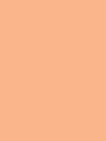 #fab68a color image