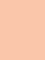 #fac6aa color image