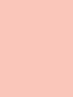 #fac6ba color image