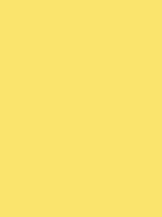 #fae46e color image