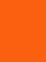 #fb6010 color image