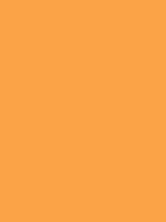 #fba347 color image