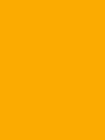#fbab01 color image