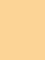 #fcd496 color image