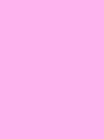 #feb3ee color image
