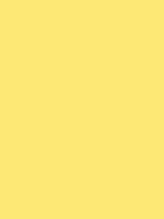 #fee875 color image