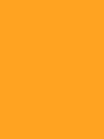 #ffa321 color image