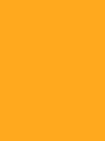 #ffa91e color image