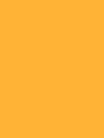 #ffb336 color image