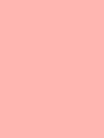 #ffb6b1 color image