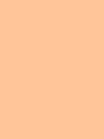 #ffc599 color image